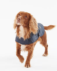 Quilted Dog Coat