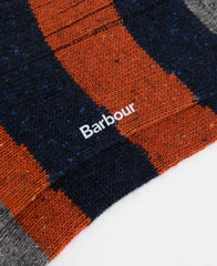 Houghton Stripe Socks