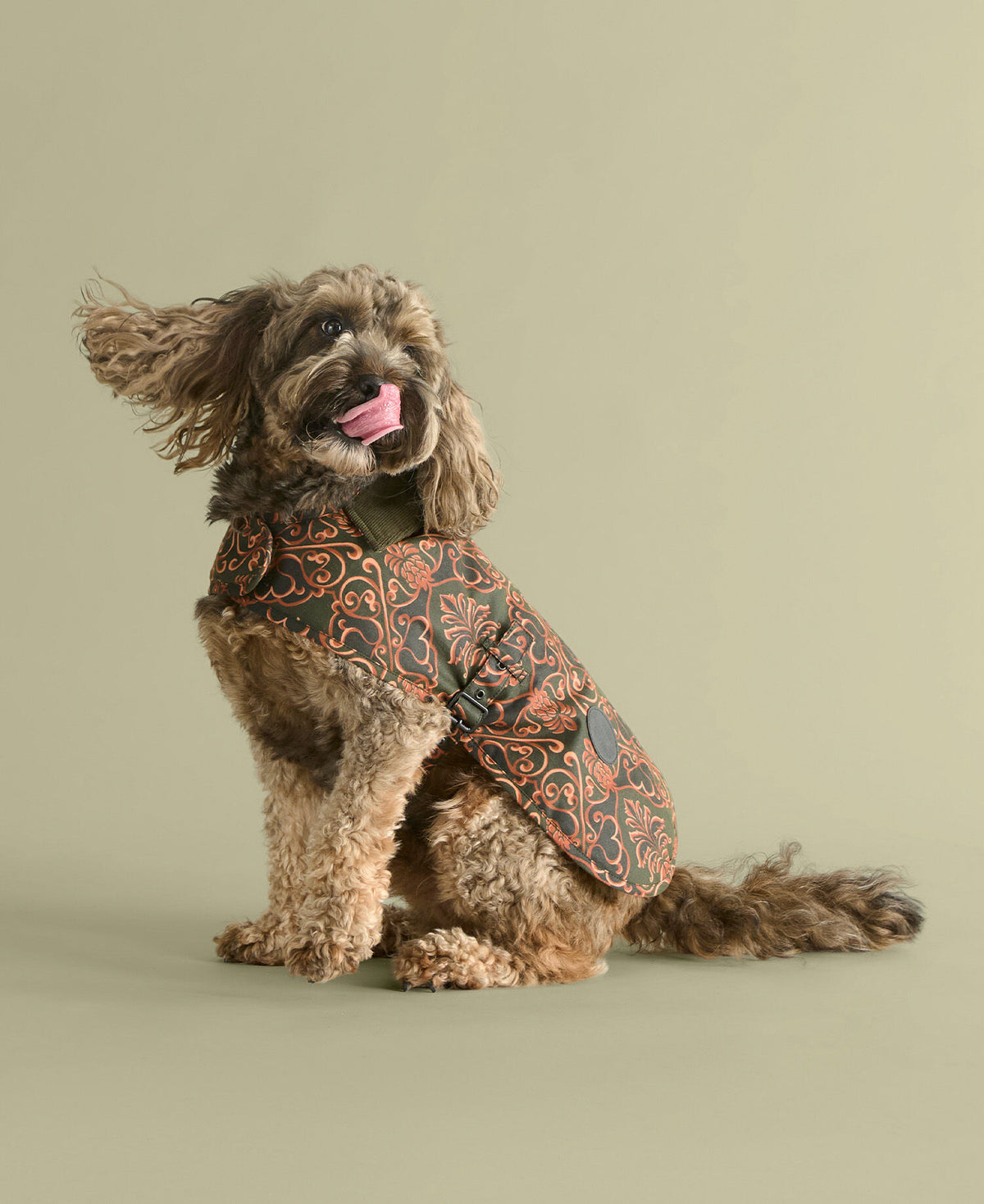 Barbour FARM Rio Pineapple Dog Coat